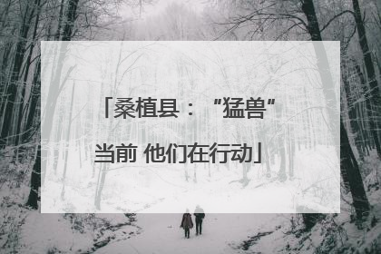 桑植县：“猛兽”当前 他们在行动